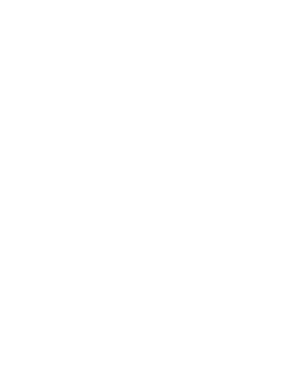 vision-Icon