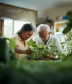 Organic Farming
